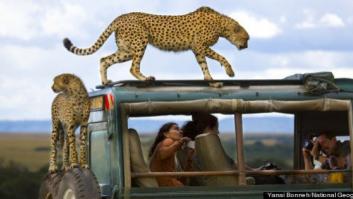 Premio de fotografía National Geographic 2013: los ganadores (FOTOS)