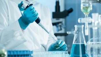 Harvard contrata a una investigadora que llevaba año y medio trabajando gratis en España