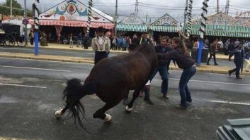El PACMA denuncia la explotación de los caballos en la Feria de Sevilla