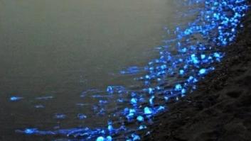 Descubiertos dos nuevos agujeros gigantes en Siberia