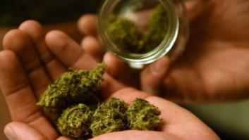 ¿Fumas demasiada marihuana?