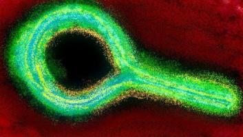 Doce meses, doce hitos científicos: así fue la ciencia en 2015