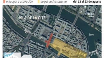 Empiezan los trabajos de limpieza de plomo en Notre Dame de París