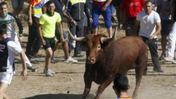 El Toro de la Vega termina con dos heridos, uno de ellos fotógrafo (FOTOS)