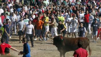 Toro de la Vega 2014: políticos y famosos piden acabar con esta celebración (VÍDEO)