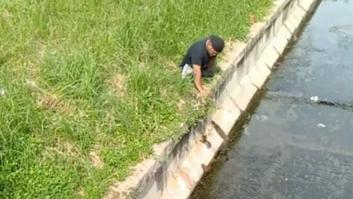 El vídeo de este deportista paralímpico para salvar a un gatito que no deja de acumular elogios