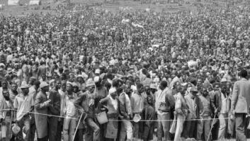 Siete alternativas solidarias para regalar estas navidades