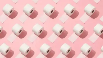 ¿Y si fuera mejor usar el bidé que gastar en papel higiénico?