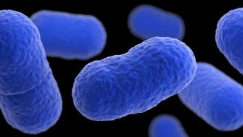 Listeriosis, el brote infeccioso que tiene en alerta sanitaria a toda España