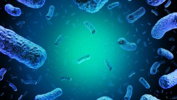Listeria, una maestra del camuflaje que se adueña de nuestras células
