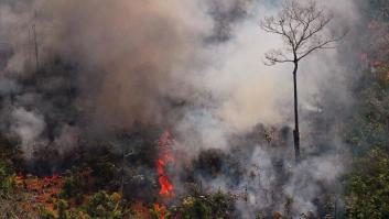Los devastadores incendios del Amazonas, en nueve imágenes