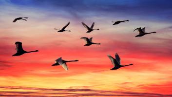 Emigrad, emigrad, malditos: ¿por qué se van los jóvenes españoles?