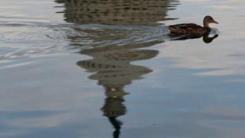 Fitch pone la deuda de EEUU en perspectiva negativa