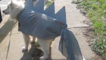 Maquillaje para Halloween: tutoriales para convertirte en zombie (VÍDEOS)