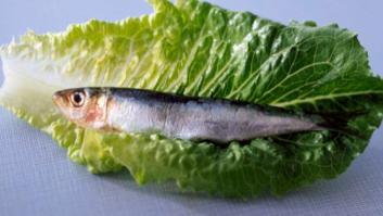 El chocolate y otros alimentos que han superado su mala fama (FOTOS)