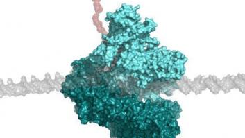 Viaje al centro de la célula