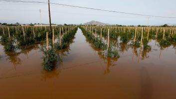 Sigue la búsqueda del holandés que cayó a una acequia en Dolores (Alicante)
