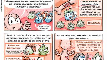 ¿Qué es un linfoma, una leucemia o un mieloma?