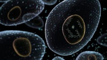 Diez datos que probablemente no sabías sobre el cáncer