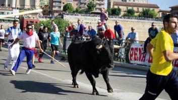 Tordesillas (Valladolid) celebra este martes el Toro de la Vega, sin muerte por cuarto año consecutivo