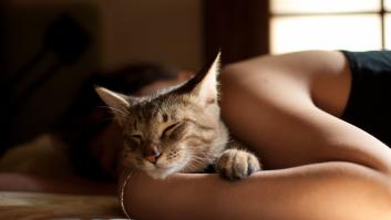 ¿Dormir o no dormir con mi mascota? He ahí la cuestión