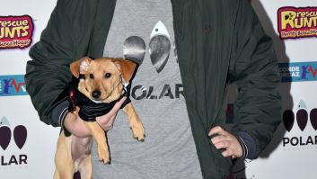 Muere a los 27 años Aless Lequio, hijo de Ana Obregón y Alejandro Lequio