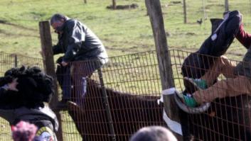 Un padre y su hijo, corneados graves en los encierros del Carnaval de Ciudad Rodrigo