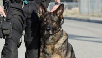 La Guardia Civil registra con perros antidroga un instituto público de Madrid sin avisar a los padres