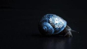 La guerra del hambre en Siria, en los ojos de los artistas locales