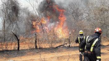 Cuatro bomberos españoles que han luchado contra el fuego en la Amazonía: "Entramos en la jungla a machetazos para apagarlo"