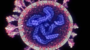 El Gobierno restringe las llegadas desde Brasil y Sudáfrica para frenar la entrada de las nuevas cepas