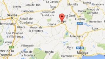 Una protesta contra robos acaba con asaltos de viviendas en Estepa