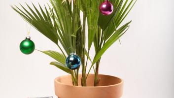 Árbol de Navidad: el dilema de todos los años (FOTOS)