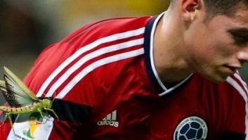 El bicho gigante que se posó sobre James y otras imágenes del Mundial (VÍDEOS)