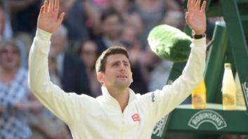 Djokovic gana Wimbledon y arrebata a Nadal el número 1 del mundo