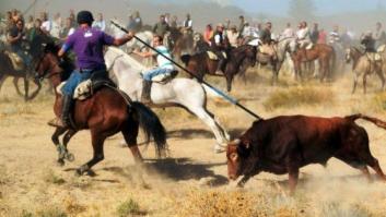 Tordesillas se rebela contra la prohibición de matar al Toro de la Vega