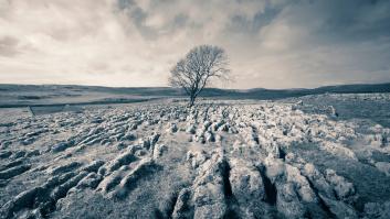 El valor de nuestra independencia