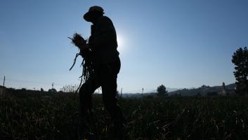 Viola a una jornalera y se libra de la cárcel con 6.000 euros y un curso de educación sexual