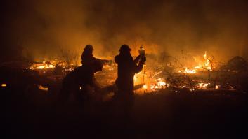 Renacer de las cenizas