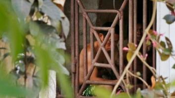 45,8 millones de personas permanecen bajo esclavitud moderna