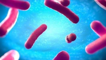 Bacterias marinas de turno de mañana y turno de tarde