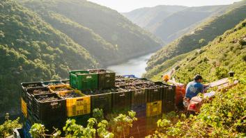 Solo Spider-Man puede hacer este trabajo