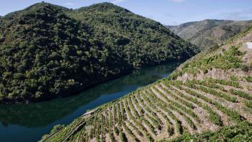 Arranca el plan de construir el puente colgante peatonal más grande de España: puente tibetano de 1,5 millones de euros