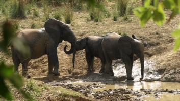 La caza furtiva en Burkina Faso, lo que Beriain y Fraile querían contarte cuando los mataron