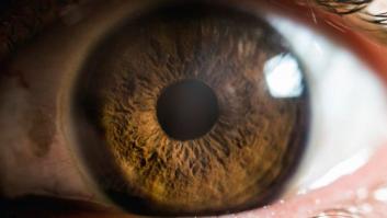 La CIA admite que espió los ordenadores de una comisión del Senado