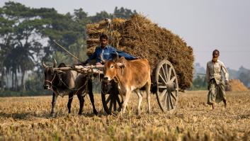 La Agenda 2030, más necesaria que nunca
