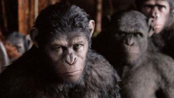 El crepuscle de les símies