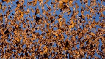 Los agujeros de Siberia y otros nueve misterios de la naturaleza que dejaron de serlo (FOTOS)