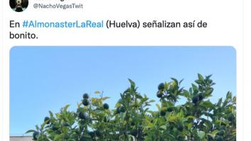 Arrasa con la señal que se ha encontrado en un municipio de Huelva