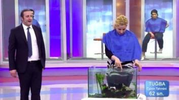 '¿Quién manda aquí?', de TVE, no excluirá a gays ni familias monoparentales